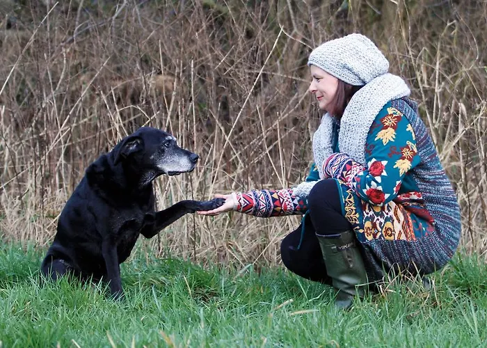 Gaestehaus Am Aa Tal *