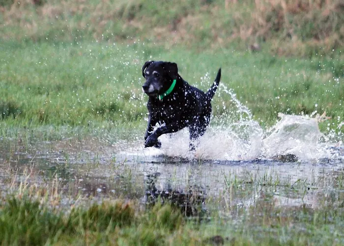 Nyaraló Gaestehaus Am Aa Tal *